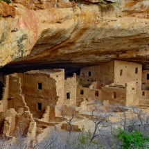Cliff dwelling Spruce Tree House